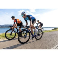 Dogma F Frameset 2026