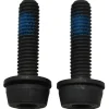 Flat Mount Rear Caliper Bolts
