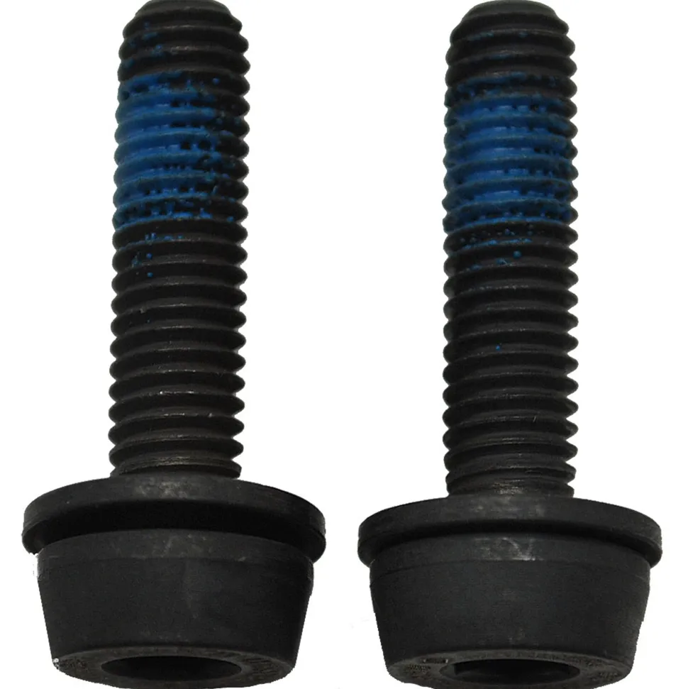 Flat Mount Rear Caliper Bolts