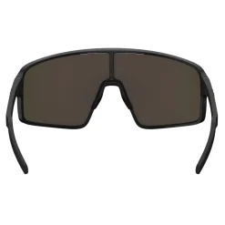 P001S Sunglasses
