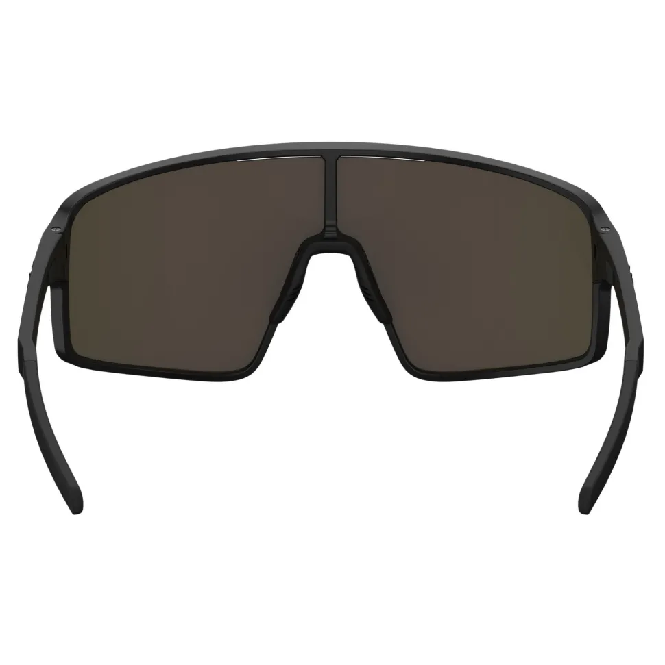 P001S Sunglasses