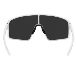 P001S Sunglasses