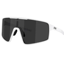 P001S Sunglasses