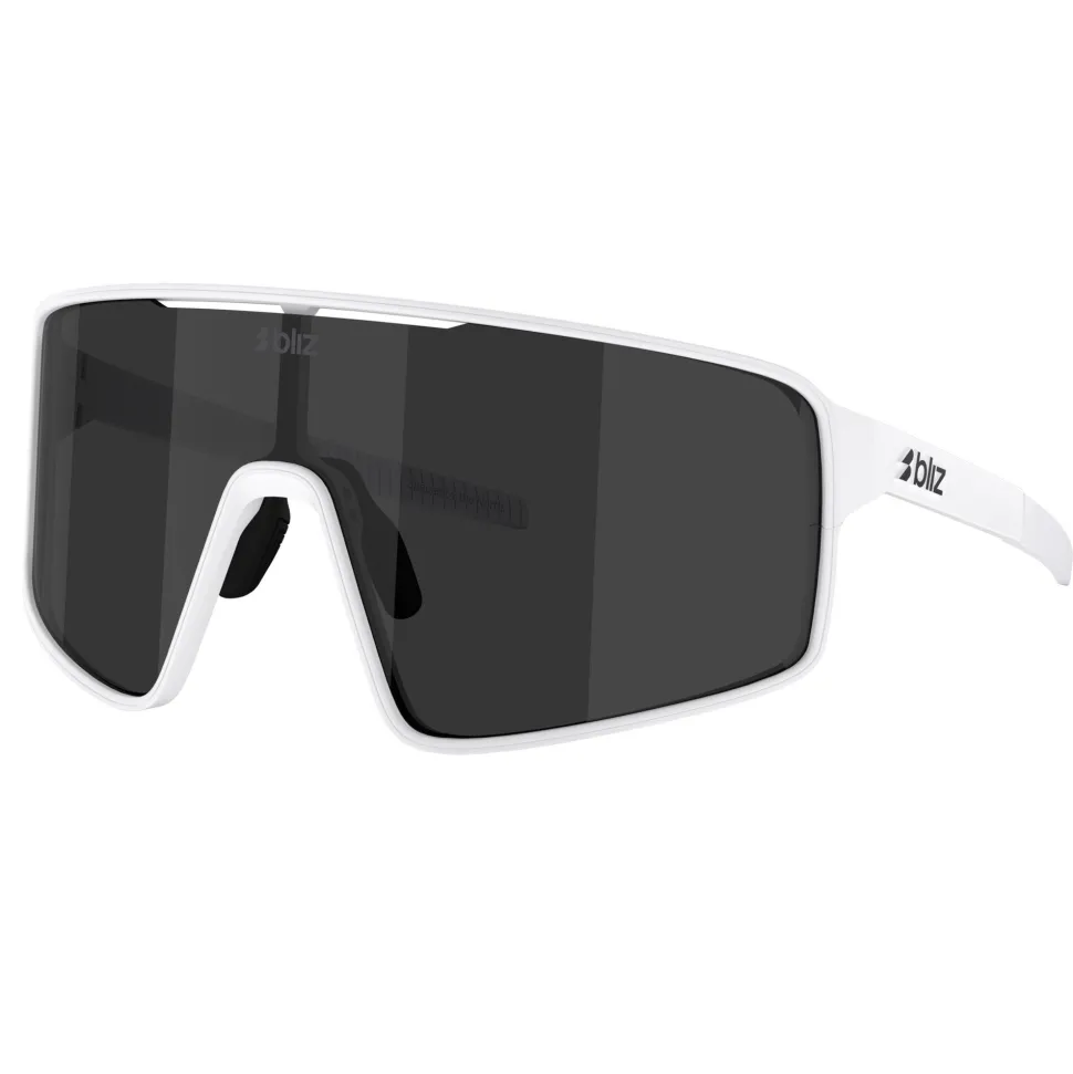 P001S Sunglasses
