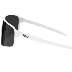 P001S Sunglasses
