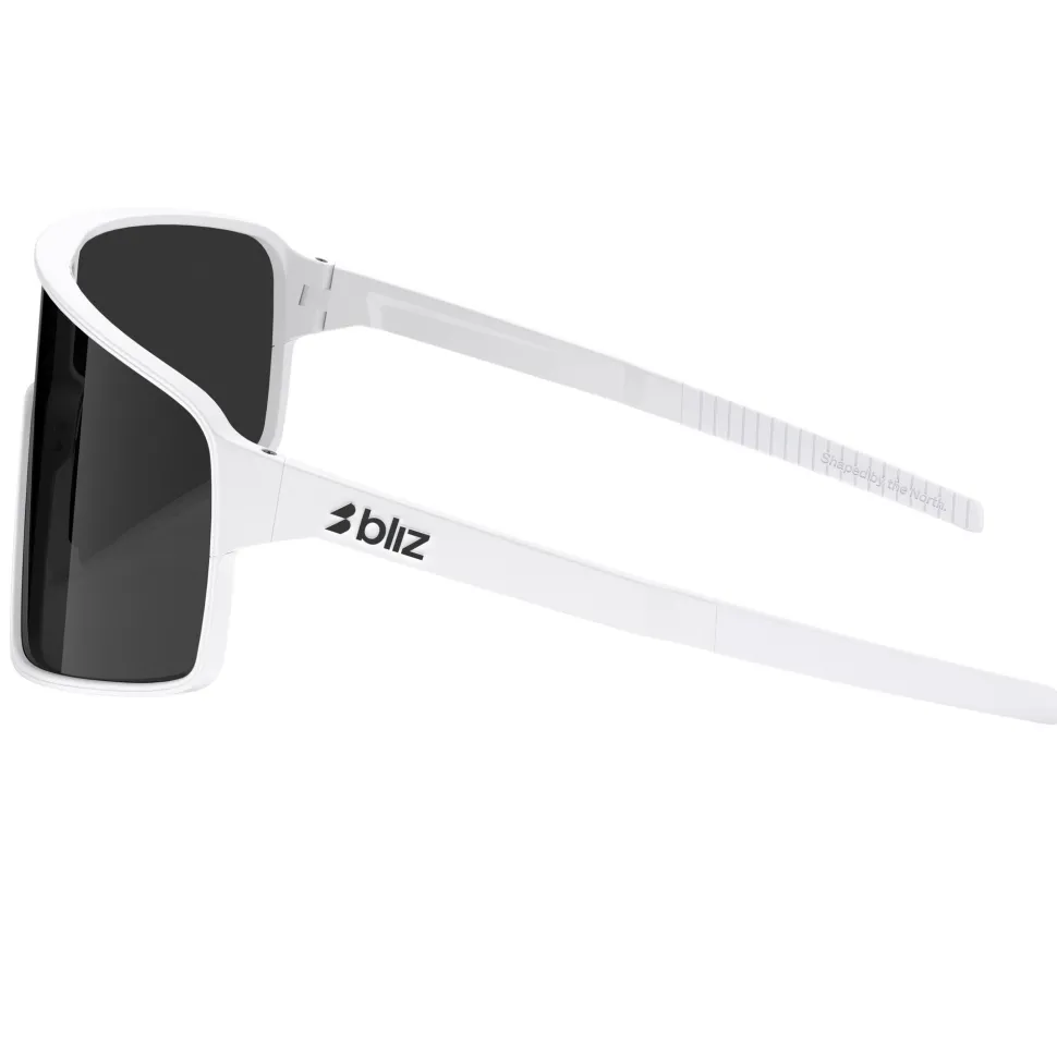 P001S Sunglasses