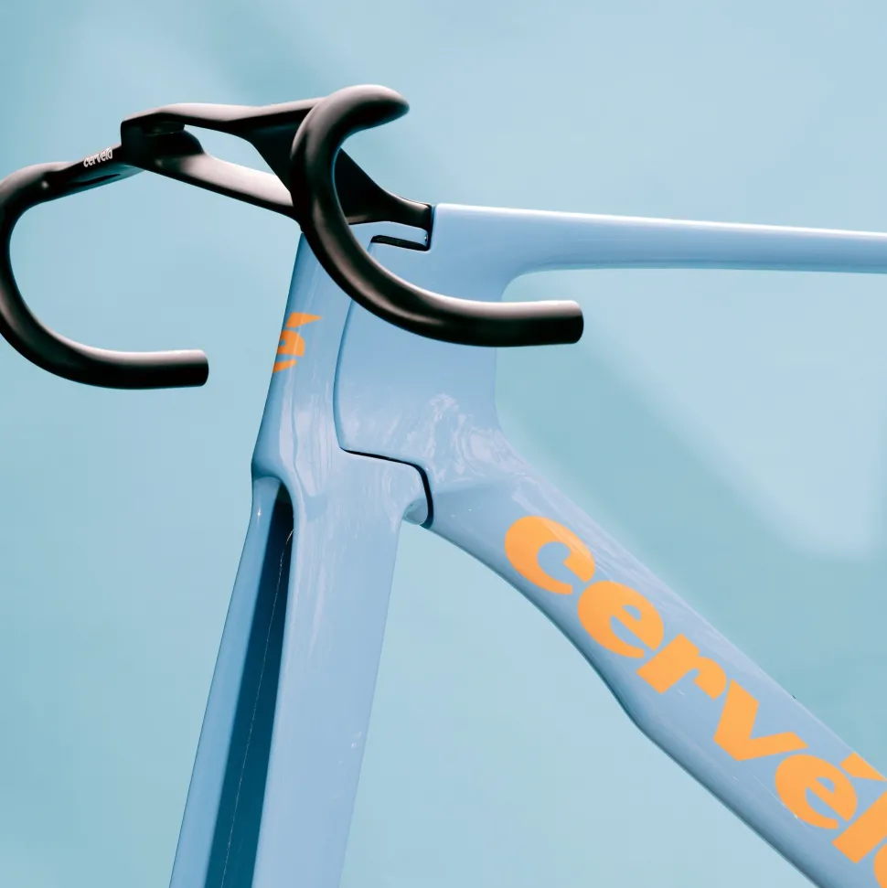 S5 Limited Edition Lupine Frameset