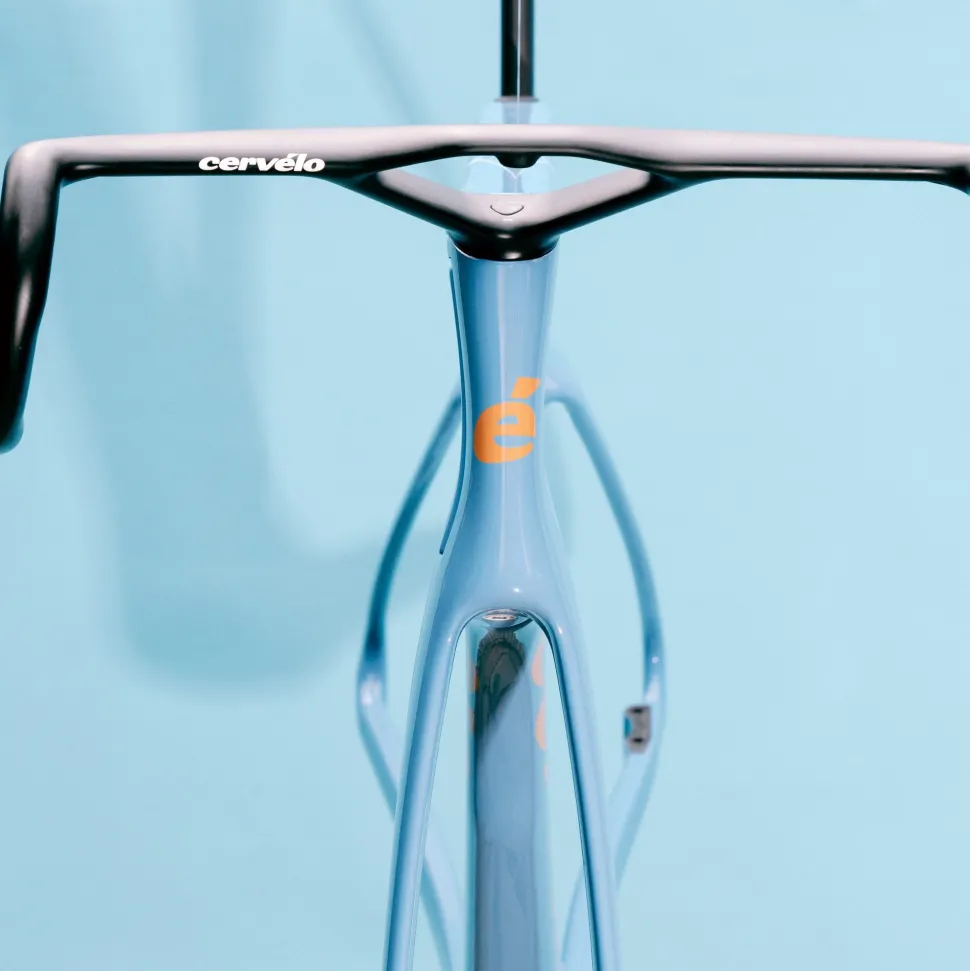 S5 Limited Edition Lupine Frameset