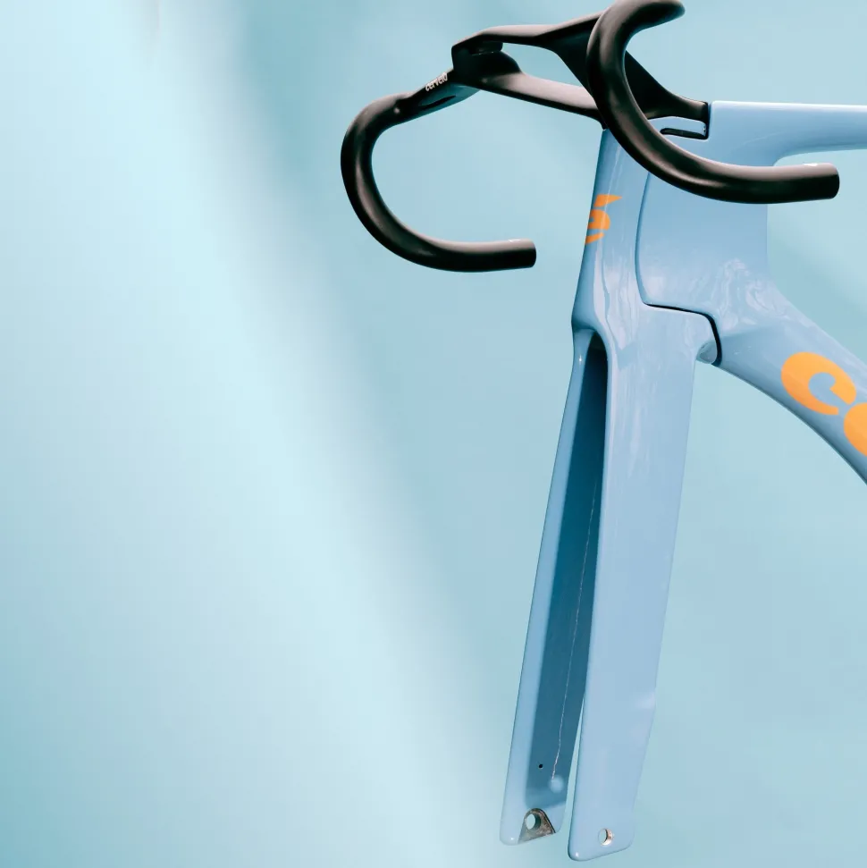 S5 Limited Edition Lupine Frameset